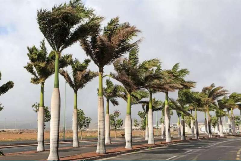 Cooler temperatures and strong winds expected in the Canary Islands this Tuesday