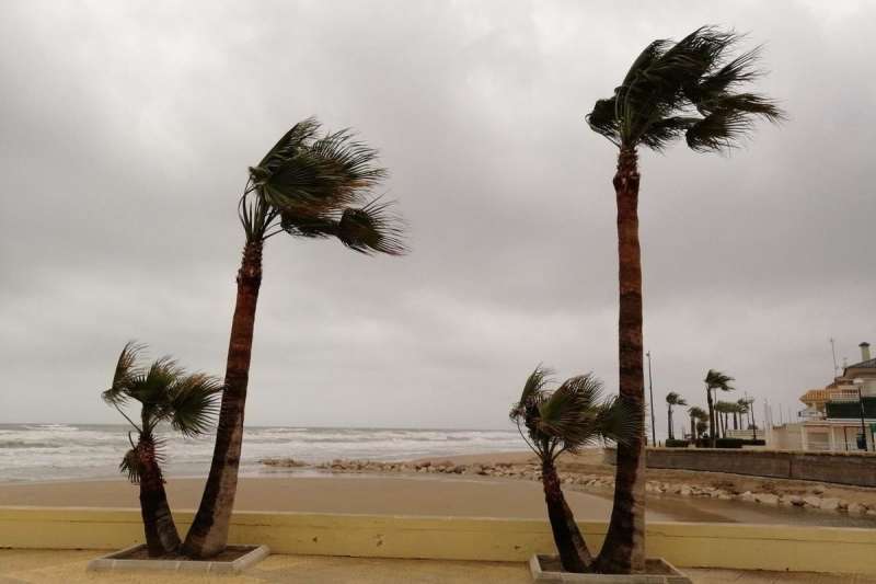 Storm warning activated across the Canary Islands 
