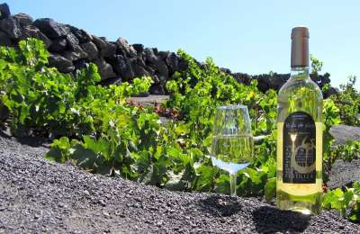 Wine tourism has a unique opportunity in the Canary Islands