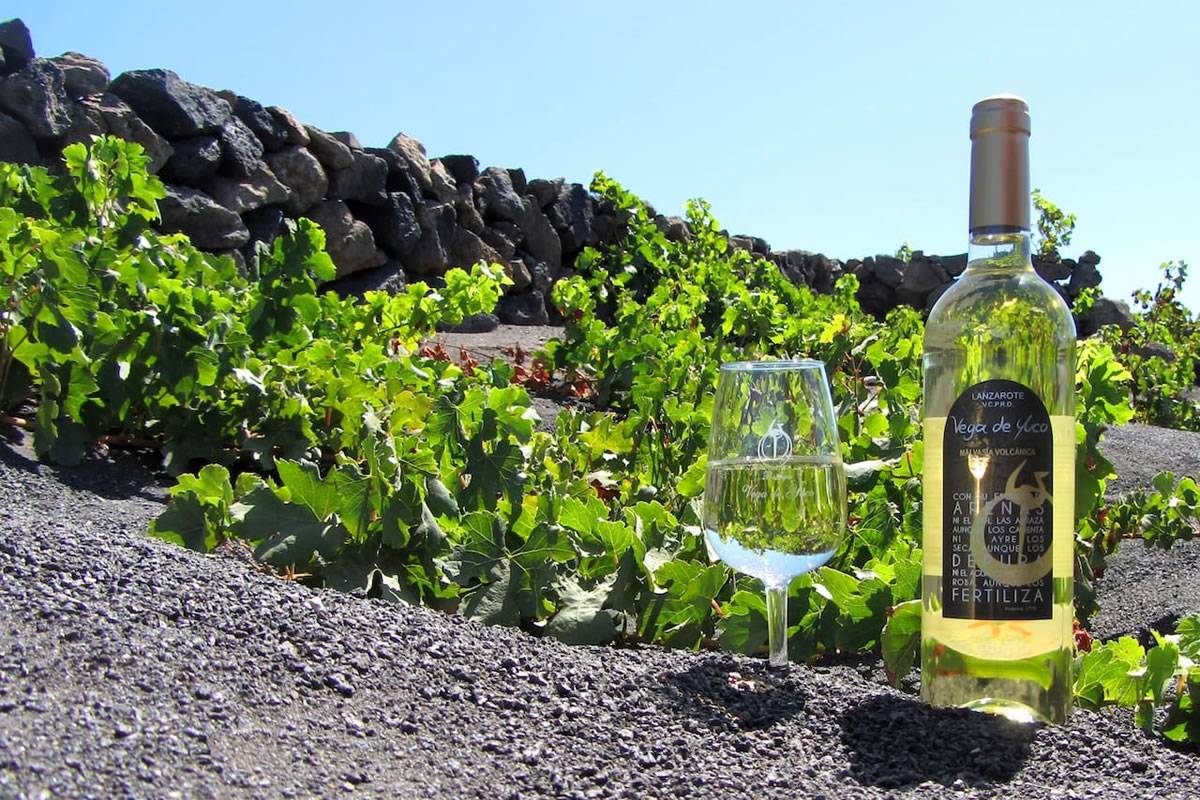 Wine tourism has a unique opportunity in the Canary Islands