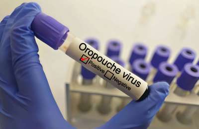 Three new imported cases of Oropouche virus detected by Canarian Health Authorities