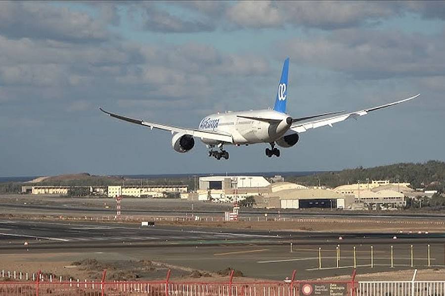 Scare for passengers as bird strike forces plane to abort flight just after take-off 
