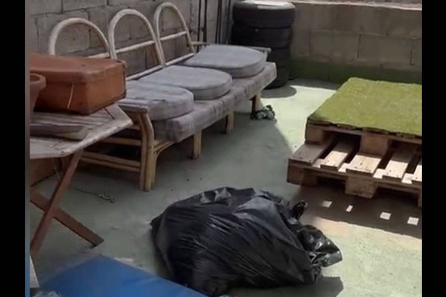One-year-old baby found living on a rooftop in the south of Tenerife