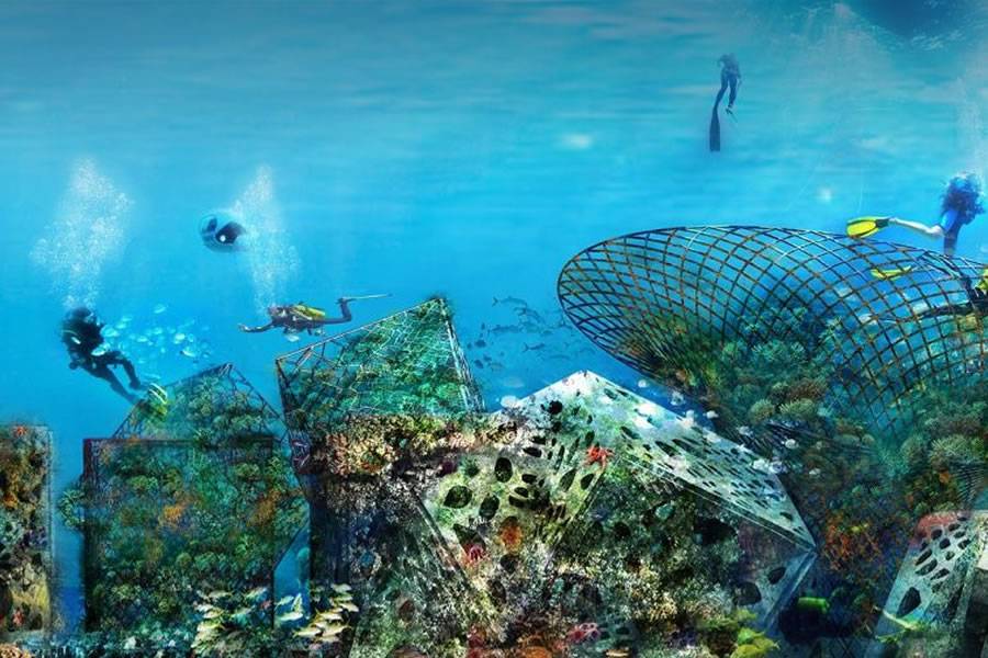 New diving and marine science complex with artificial reefs to open in Tenerife