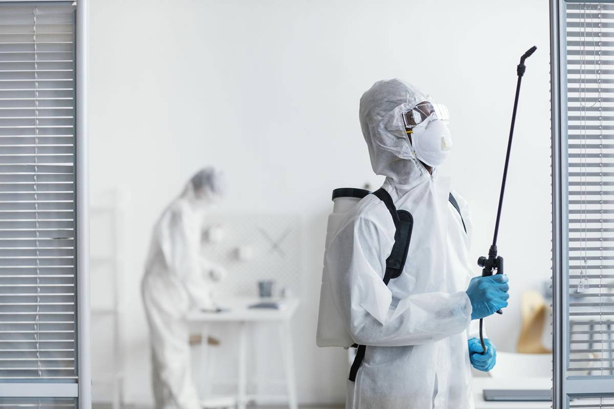 The risk of poor practices by pest control companies in the Canary Islands 
