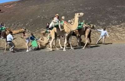 Viral video sparks renewed criticism of camel rides in Lanzarote for "Abusive Treatment"