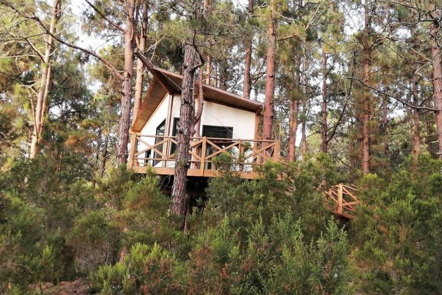 A unique getaway in Tenerife: A treehouse in the pine forests