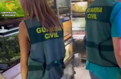 Man under investigation for operating illegal zoo at his home in Tenerife