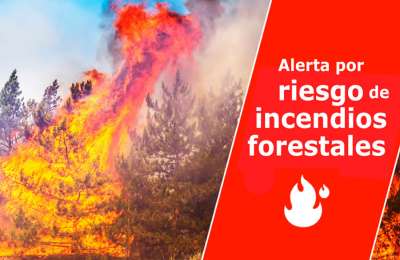 Government declares pre-alert for forest fires due to change in weather conditions