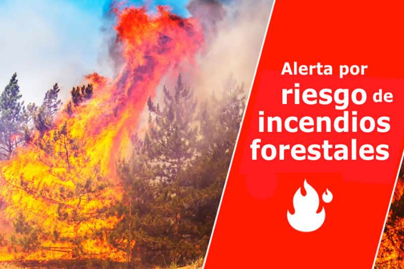 Government declares pre-alert for forest fires due to change in weather conditions