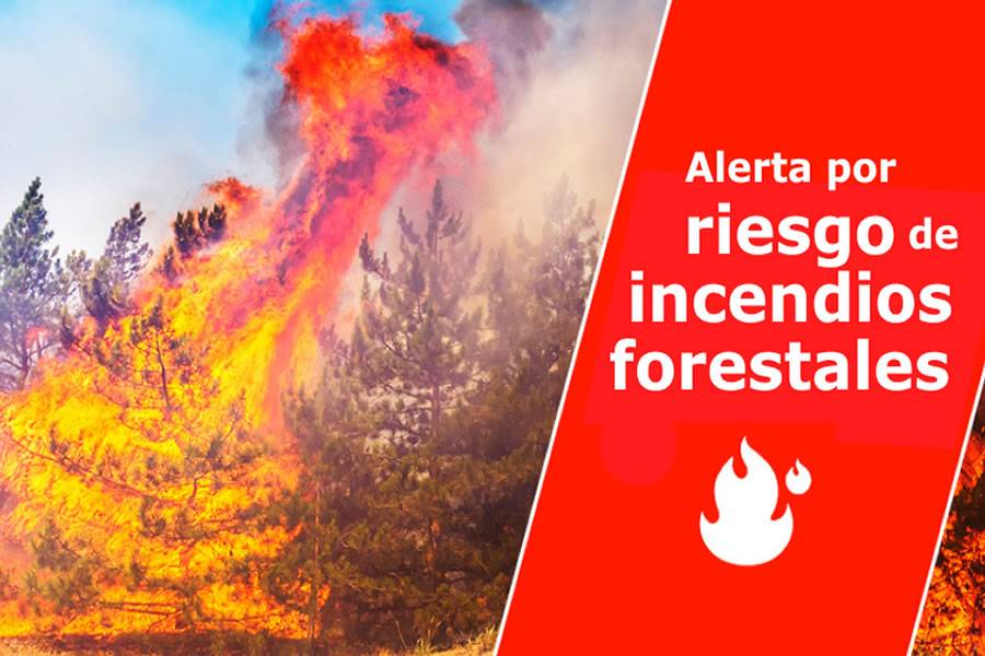 Government declares pre-alert for forest fires due to change in weather conditions