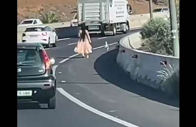 VIDEO: Bizarre scene on Tenerife’s motorway: Woman stops traffic to chase a duck