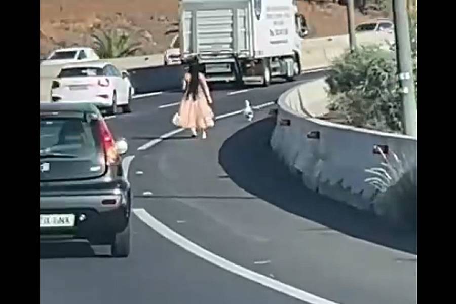 VIDEO: Bizarre scene on Tenerife’s motorway: Woman stops traffic to chase a duck