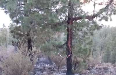 The two forest fires in south Tenerife were started by lightning strikes