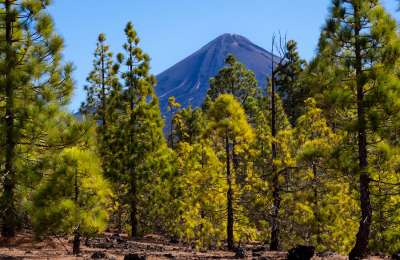 Authorities advise against accessing mountainous areas in Tenerife due to safety concerns
