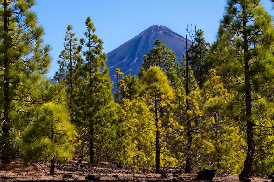 Authorities advise against accessing mountainous areas in Tenerife due to safety concerns