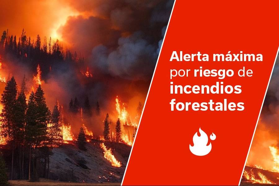 Forest fire alert declared in Gran Canaria due to extreme weather conditions