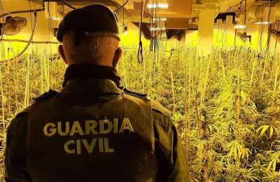 Man arrested in Lanzarote for running illegal marijuana plantation and selling through Cannabis Club