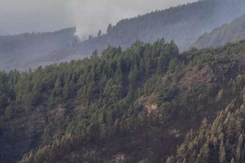 Warm air mass bringing haze and temperatures of 30°C activates alert for forest fires
