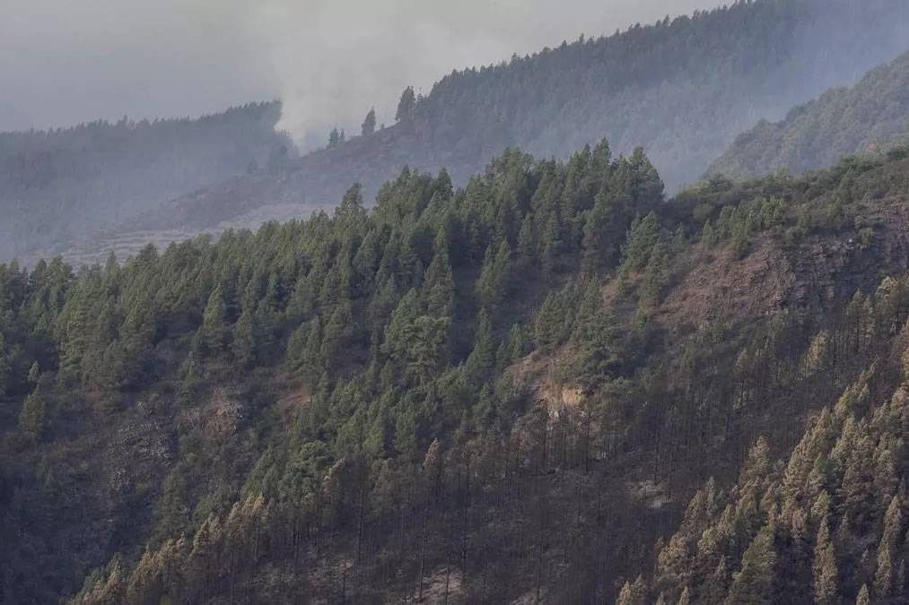 Warm air mass bringing haze and temperatures of 30°C activates alert for forest fires