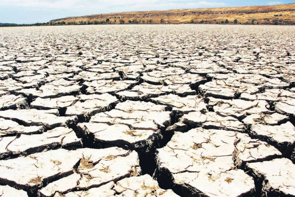 Two of the Canary Islands declare water emergency due to severe drought