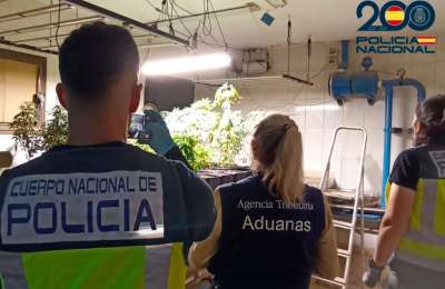 Man arrested after reporting a robbery which led police to discover his illegal cannabis farm 