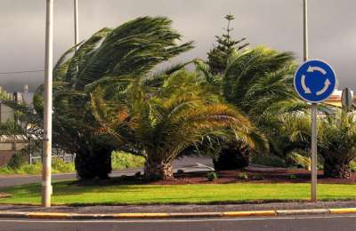 Alert for strong winds forces cancellation of outdoor activities in Tenerife