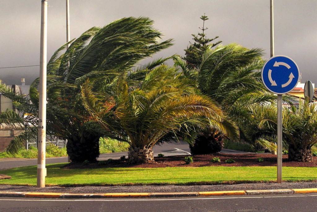Alert for strong winds forces cancellation of outdoor activities in Tenerife