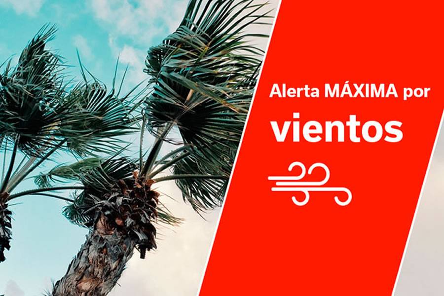 Canary Islands maintain Maximum Alert for winds of up to 130 km/h 