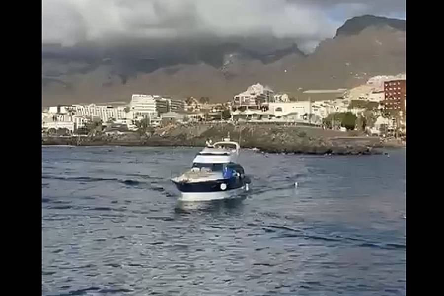 Captain of Tenerife leisure boat stabbed four times by guest on board