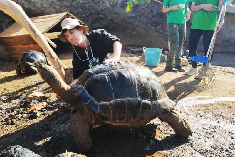 Learning to care for a Giant Tortoise: Practical wildlife training in Fuerteventura