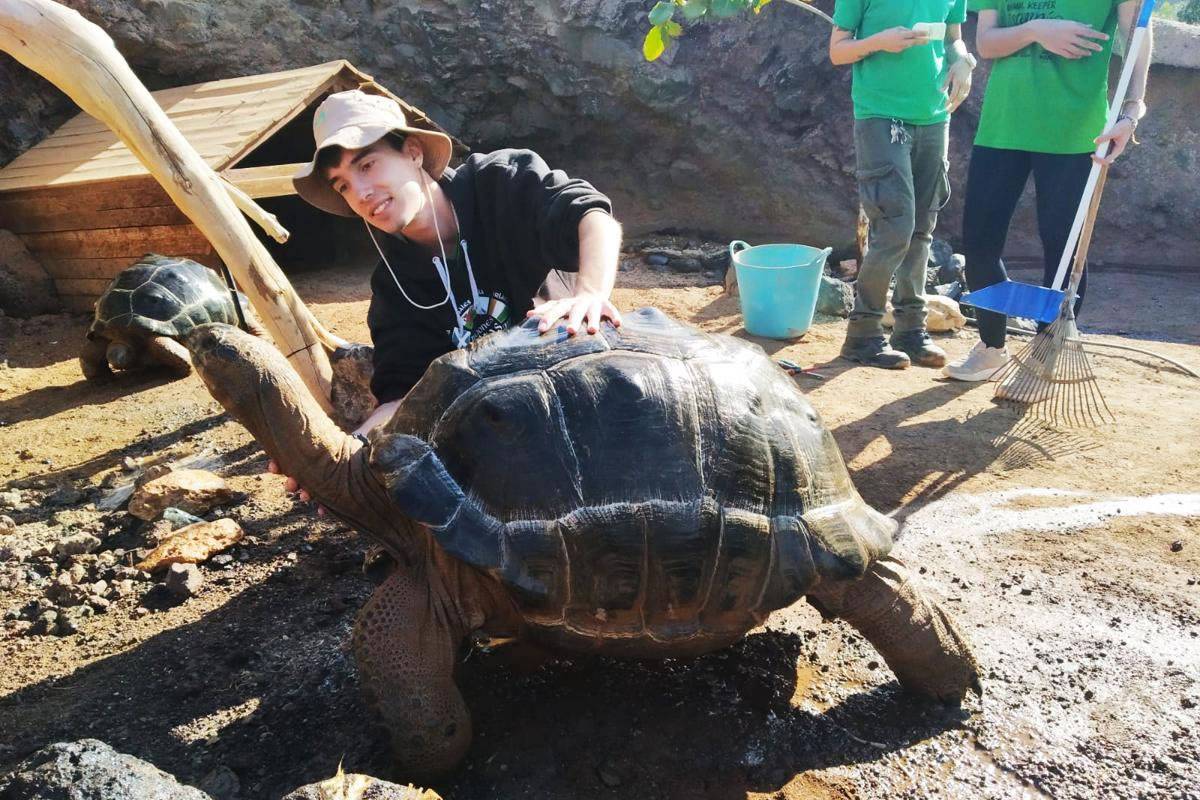 Learning to care for a Giant Tortoise: Practical wildlife training in Fuerteventura