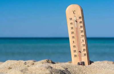 2024 was the driest and second warmest year on record in the Canary Islands 