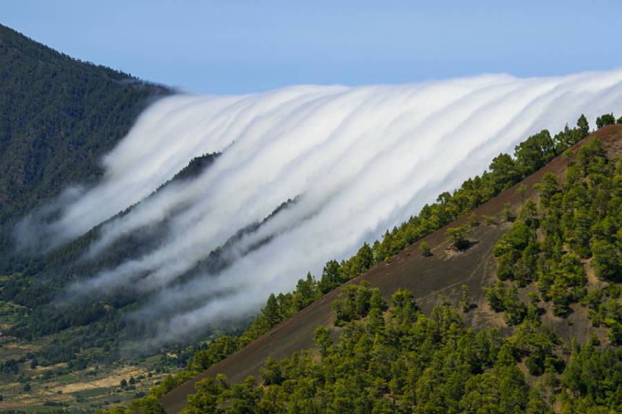 One of the world’s most stunning natural displays in the Canary Islands