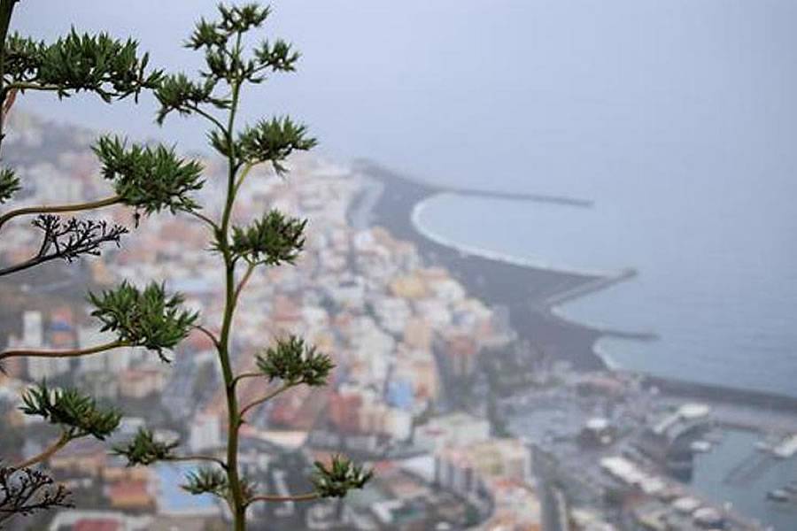 AEMET warns that haze is returning to the Islands with severe weather conditions