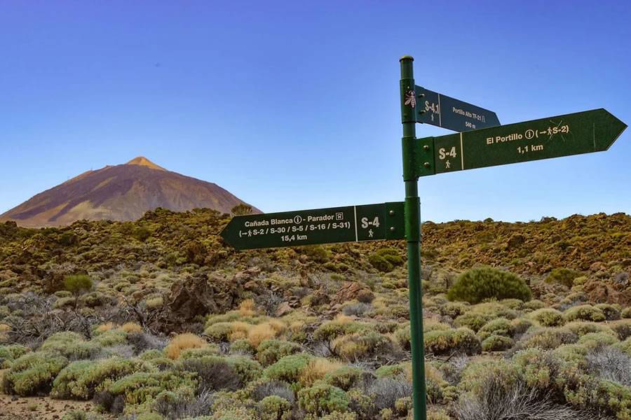 Cabildo announces reopening of hiking trails in Teide National Park
