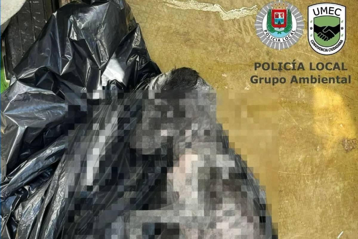 Extreme case of animal cruelty: Man throws dog into the sea in a plastic bag