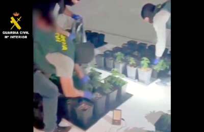 VIDEO: Guardia Civil raids three illegal “Drug Factories” in the south of Tenerife