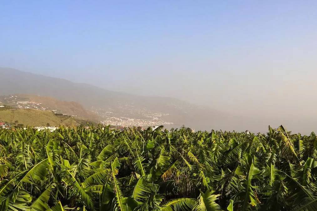 AEMET forecast rain, wind, and calima this week in the Canary Islands