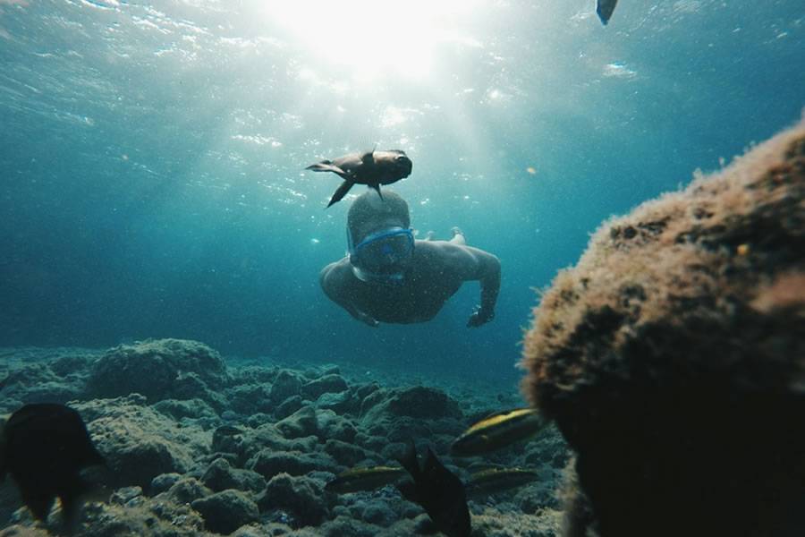 How to go island hopping in the Canary Islands