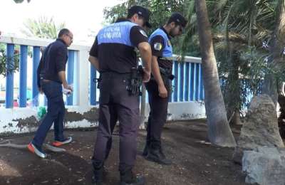 Investigation launched into poisoning of 15 dogs in Mogan