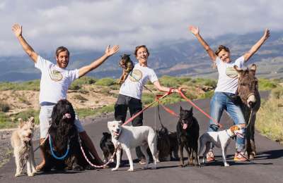 ‘The Animal March’ for Tenerife Horse Rescue is back for its third year