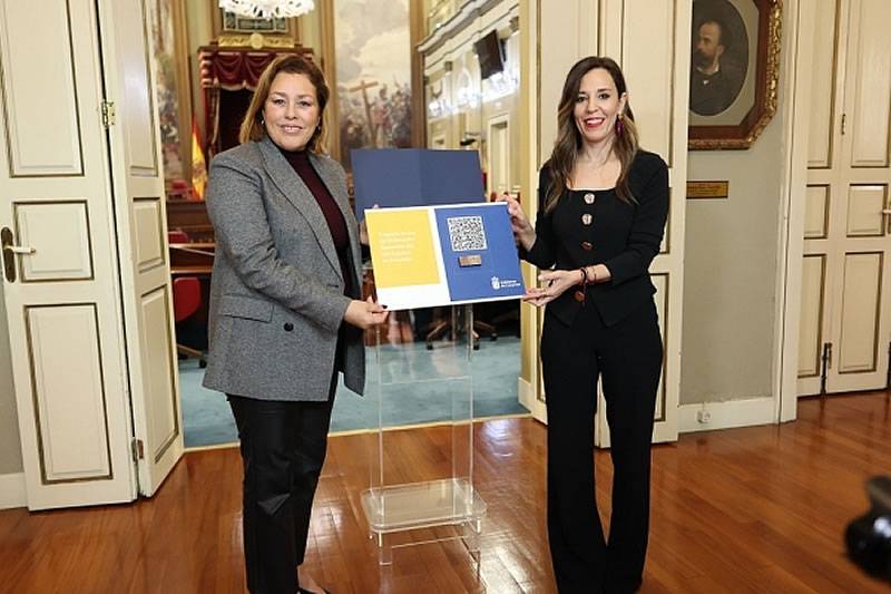 New holiday let rental law for the Canary Islands is presented to parliament