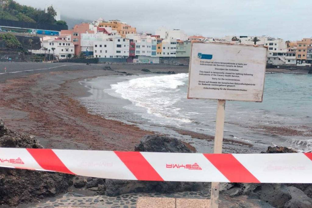 New survey confirms multiple sources of pollution along Puerto de la Cruz coastline