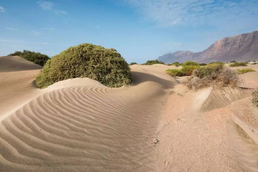 Environmental group challenges quarry project in Lanzarote over "serious irregularities"