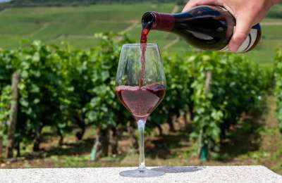 How to create the best Pinot Noir