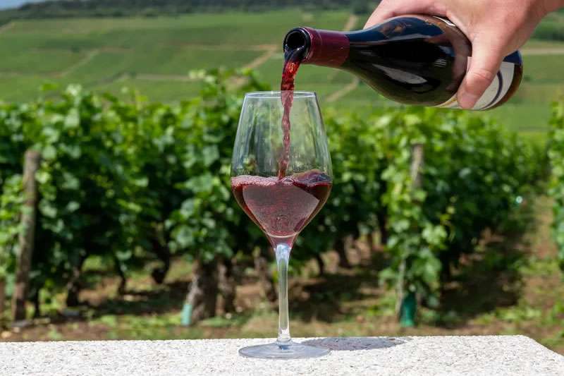 How to create the best Pinot Noir
