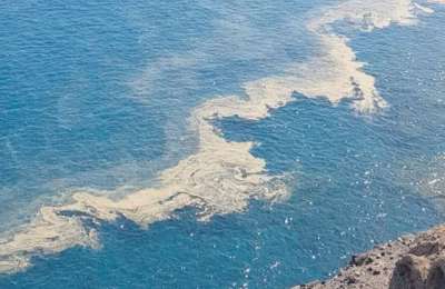 Nueva Canarias reports illegal sewage discharges in Arico to the European Parliament