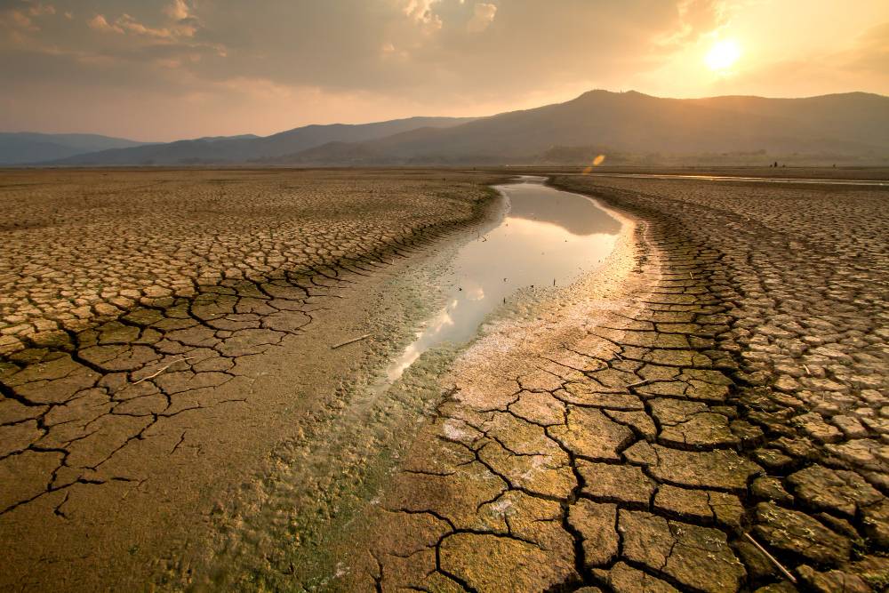 Tenerife Cabildo extends declaration for water emergency due to ongoing drought
