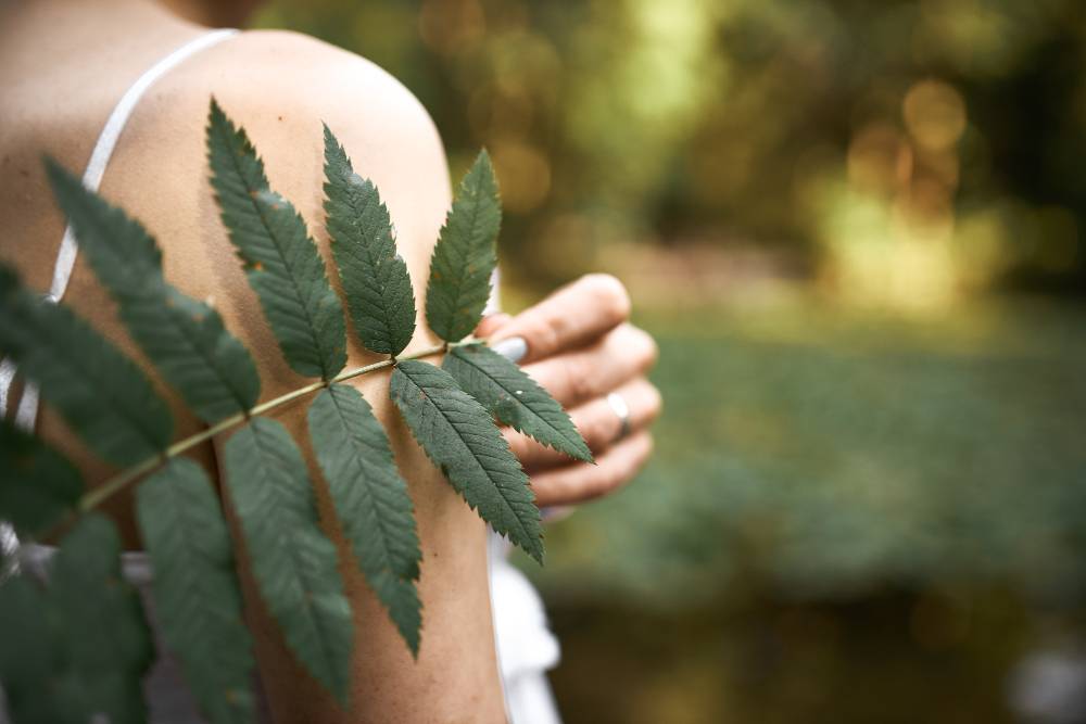 How to Buy the Right Natural Health Medicine
